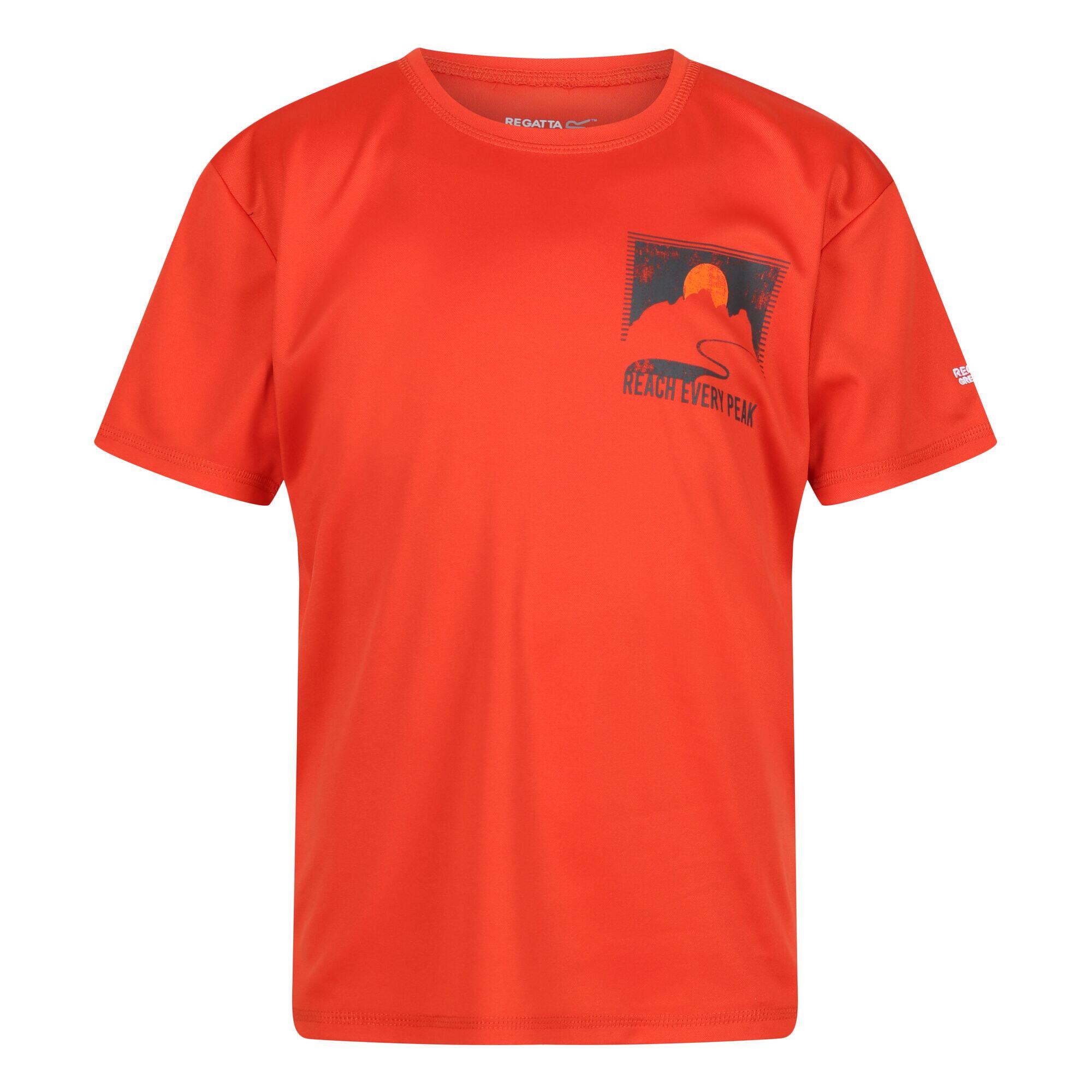 REGATTA Childrens/Kids Alvarado VII Sunset TShirt (Rusty Orange)