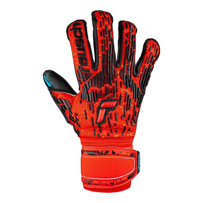 Gants de gardien Reusch Attrakt Freegel Gold Evolution