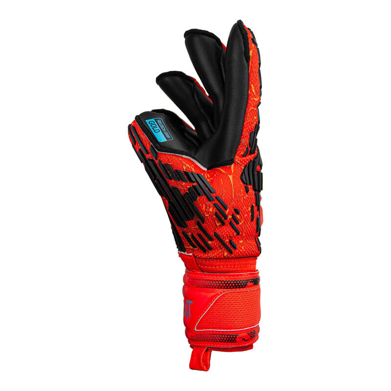 Gants de gardien Reusch Attrakt Freegel Gold Evolution