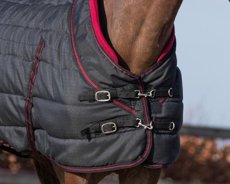 Paarden staldeken QHP Luxury Collection 200g 3/4