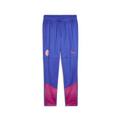 Pantalon d’entraînement 23/24 AC Milan PUMA Royal Sapphire Blue