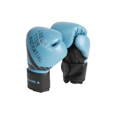 Boxhandschuhe
