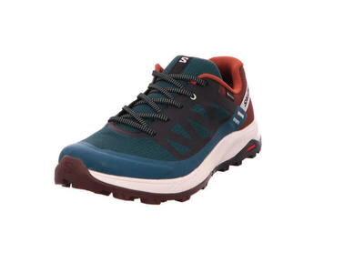 Trekkingschoenen voor heren salomon outrise gtx gore-tex