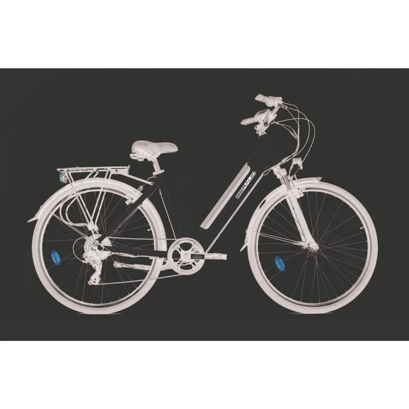 BISEK - Bici Elettrica Custom ruote larghe con pedalata assistita - La  Sportina Digitale