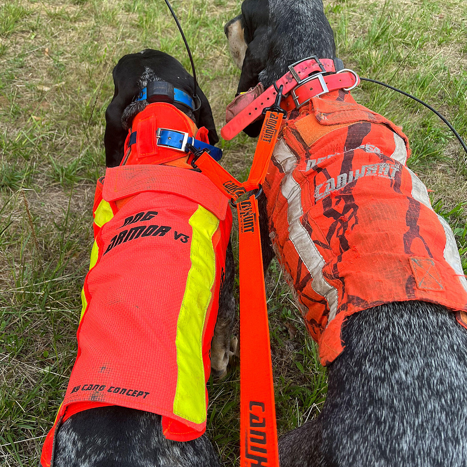Laisse doubleur HUNTER FIRST orange 150cm 4/4