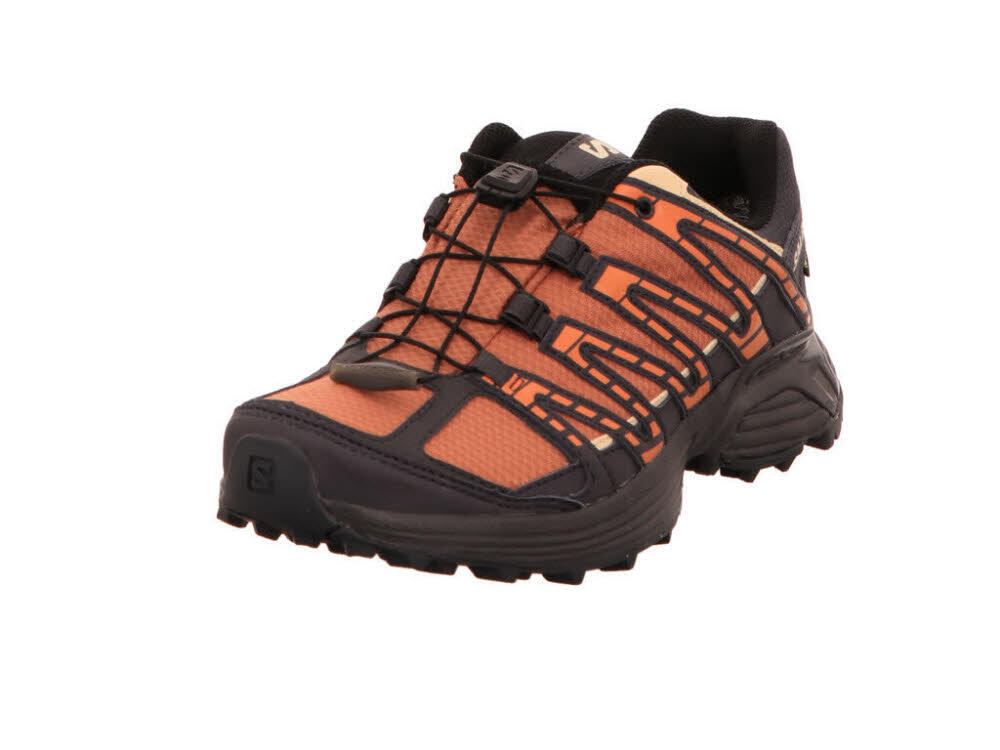 SALOMON picture