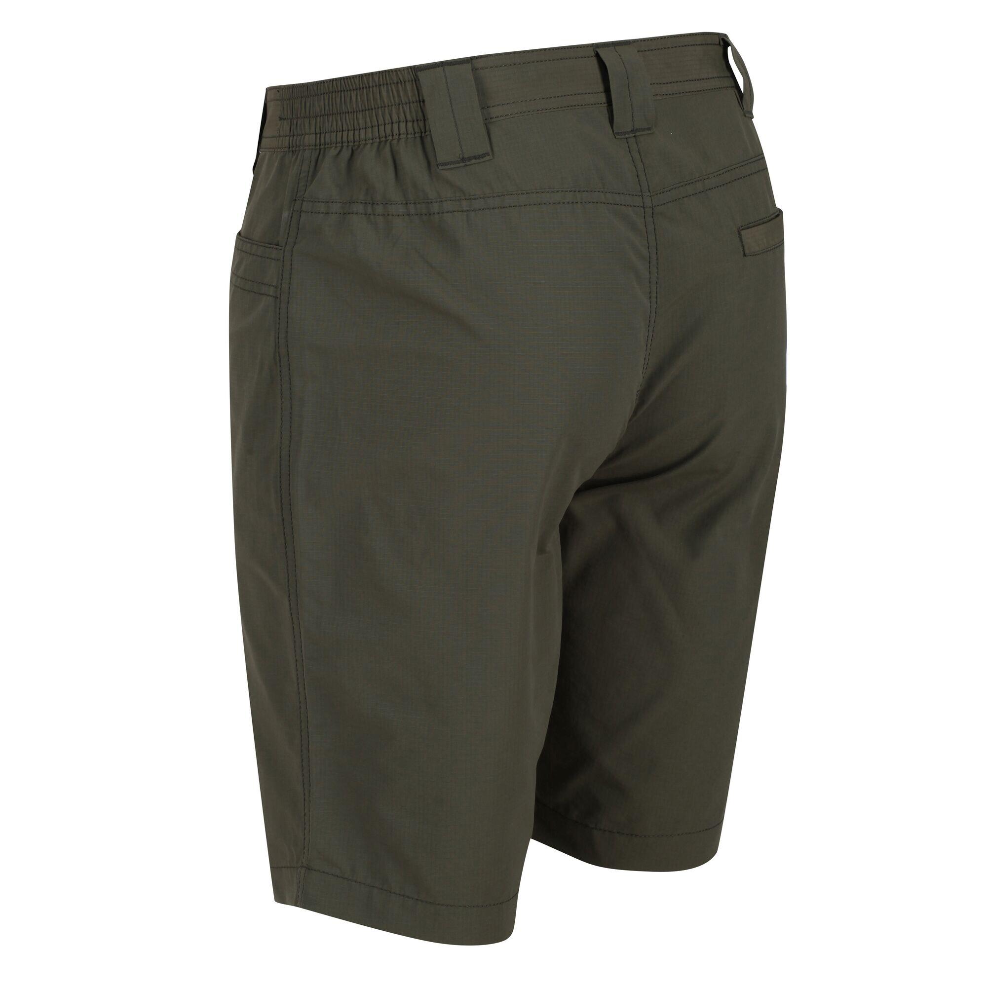 Men's Delgado Lightweight Coolweave Shorts REGATTA | Decathlon