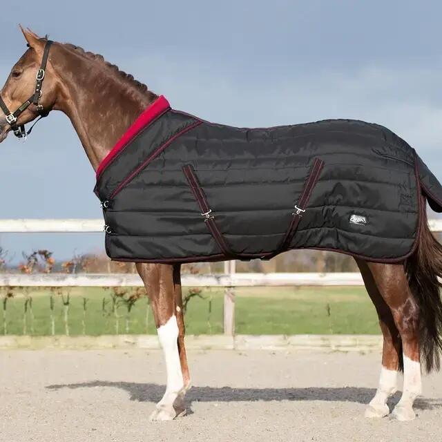 Stable Blanket  QHP Luxury Collection 200g