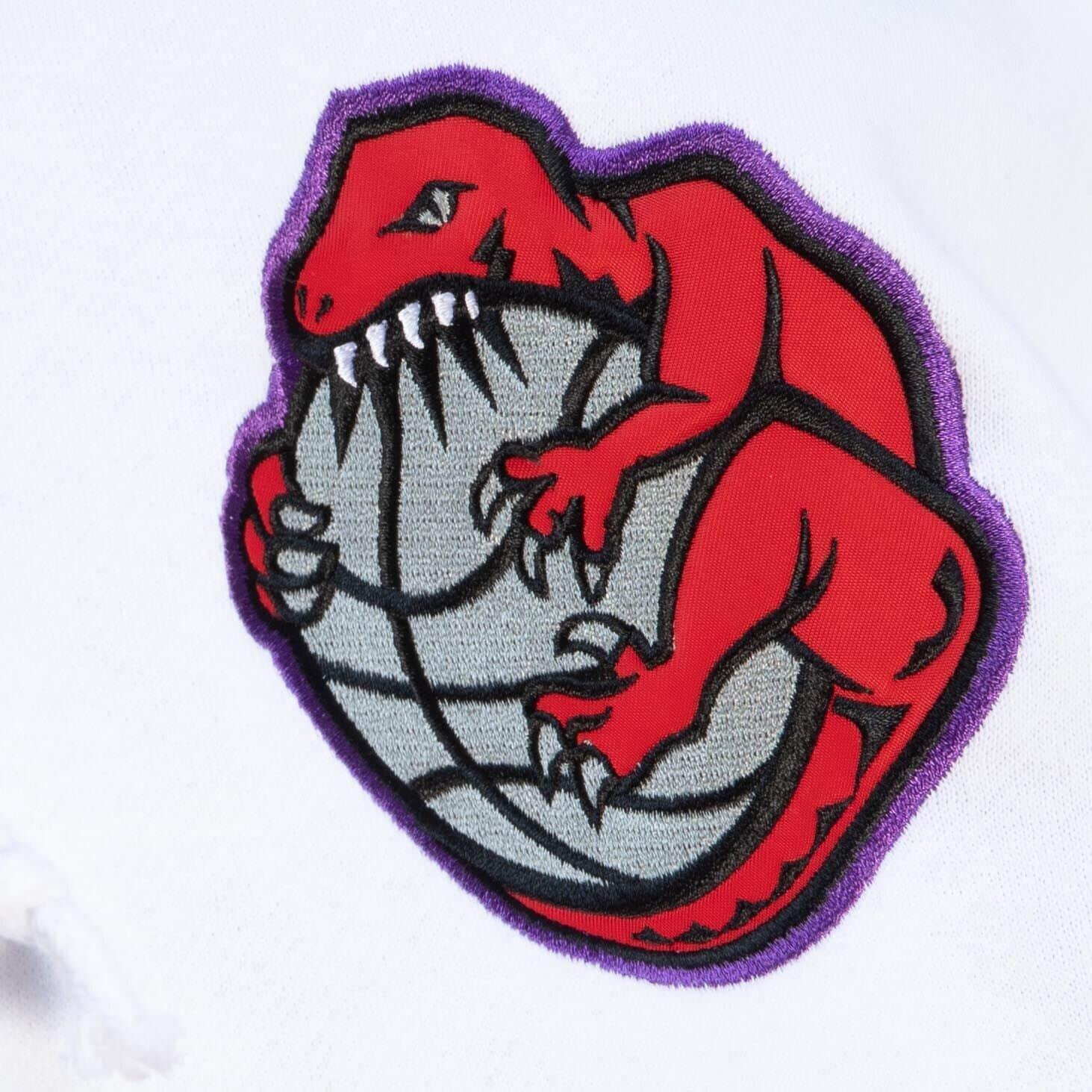 Sweat à capuche Fusion Fleece 2.0 Toronto Raptors 3/3
