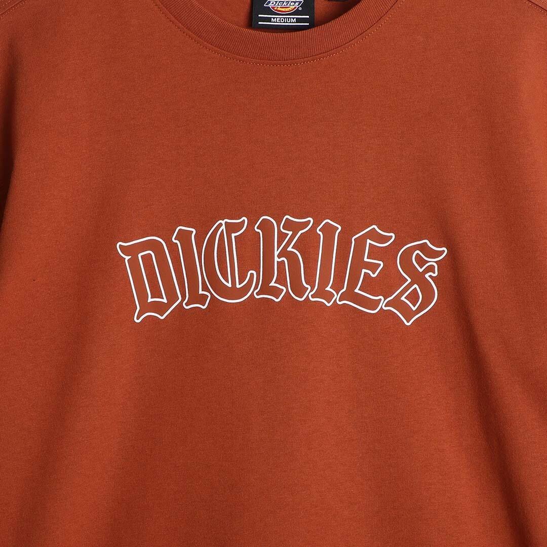 T-shirt Dickies Union Springs 3/4