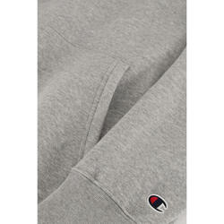 Sweatshirt Champion Rochester Logo