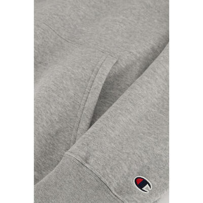 Hooded sweatshirt champion rochester logo