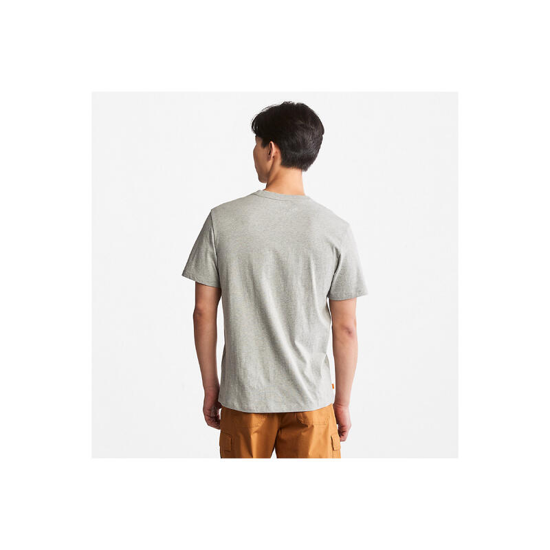 T-shirt bio Timberland Brand Line