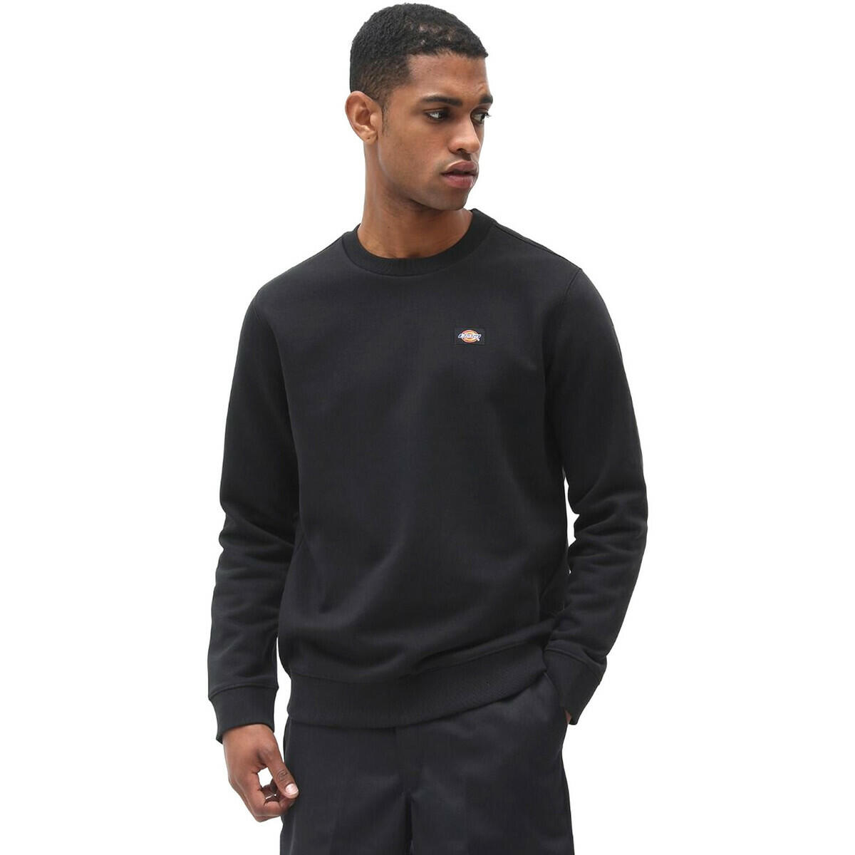 Felpa Dickies Oakport 2/4