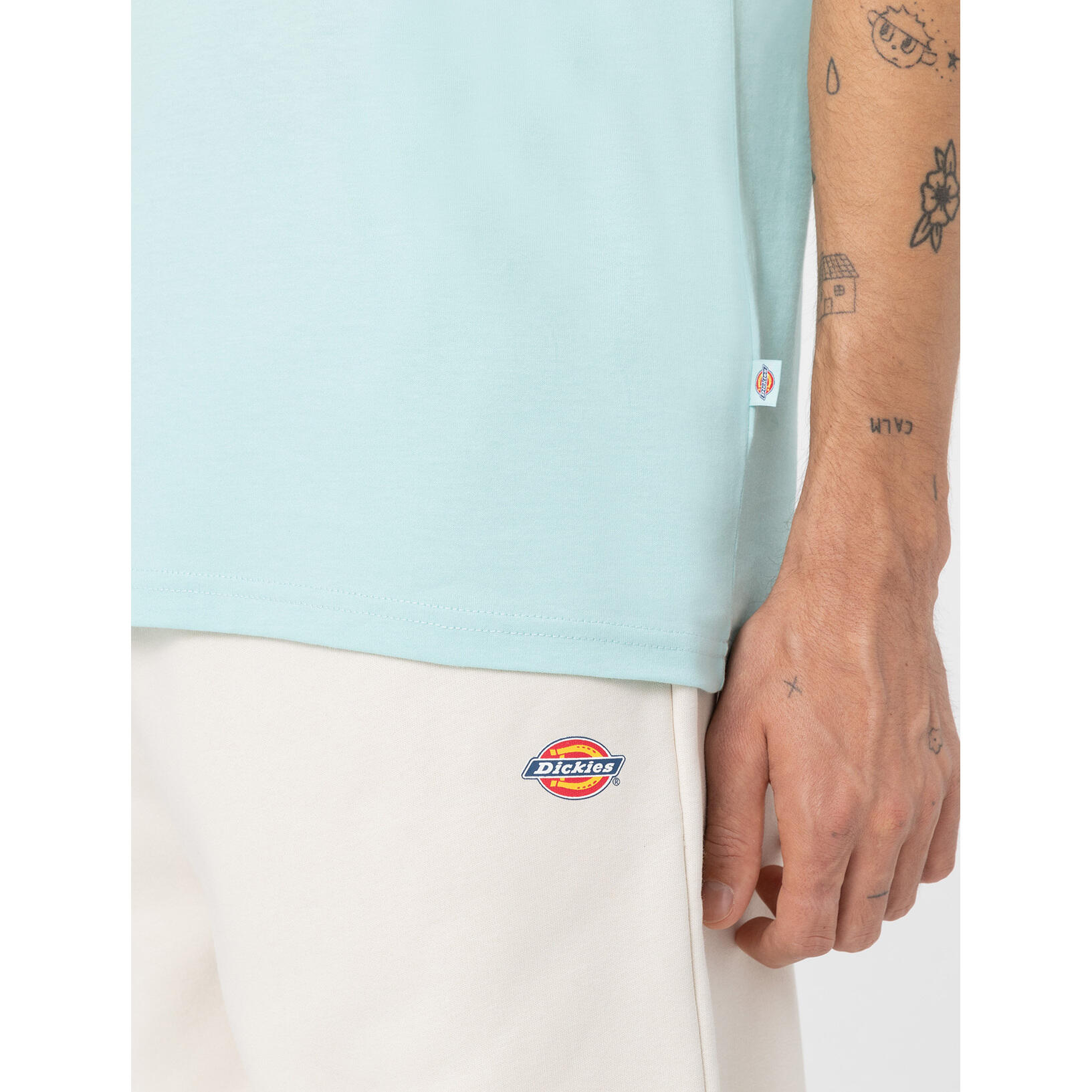 T-shirt Dickies Mapleton 7/7