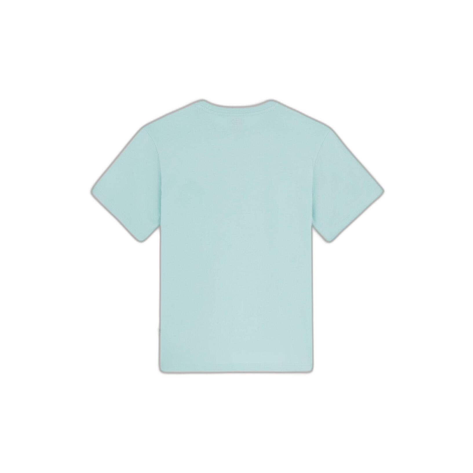 T-shirt Dickies Mapleton 2/7