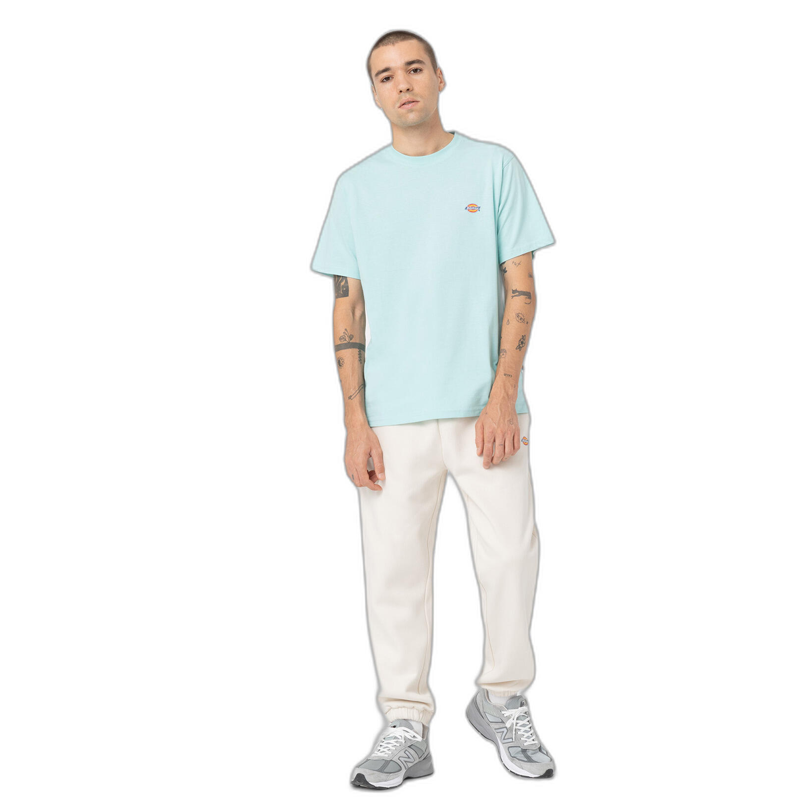T-shirt Dickies Mapleton 5/7