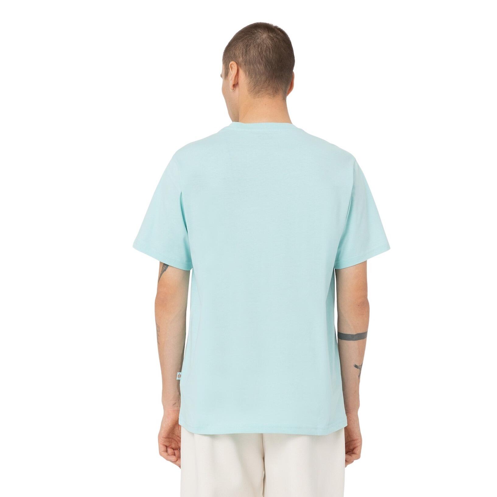 T-shirt Dickies Mapleton 4/7