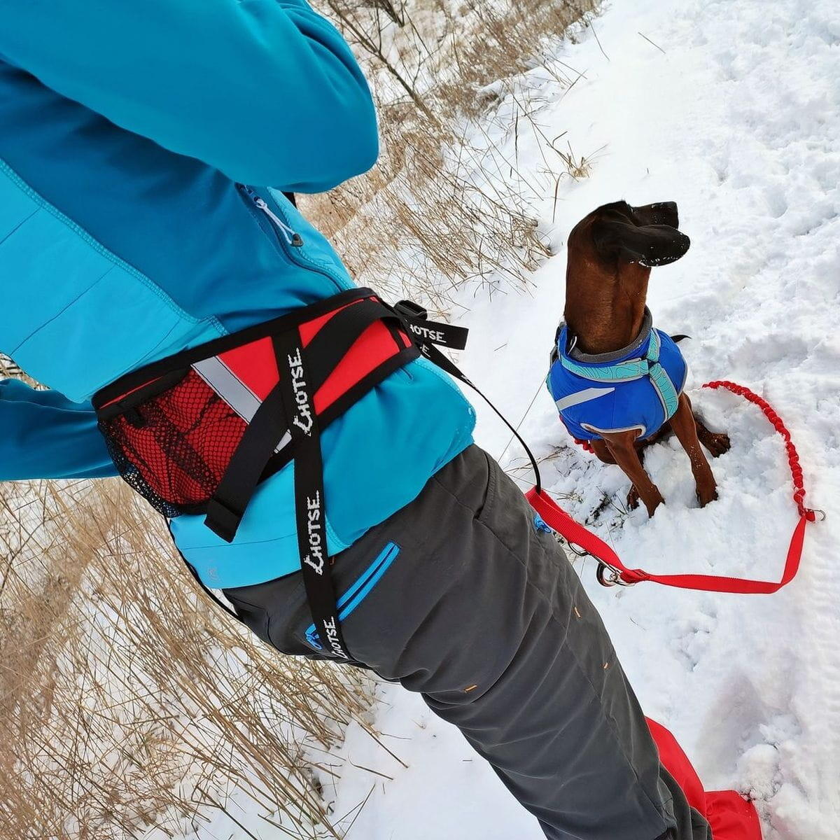 Pas do biegania z psem Lhotse Red S-M 4/4
