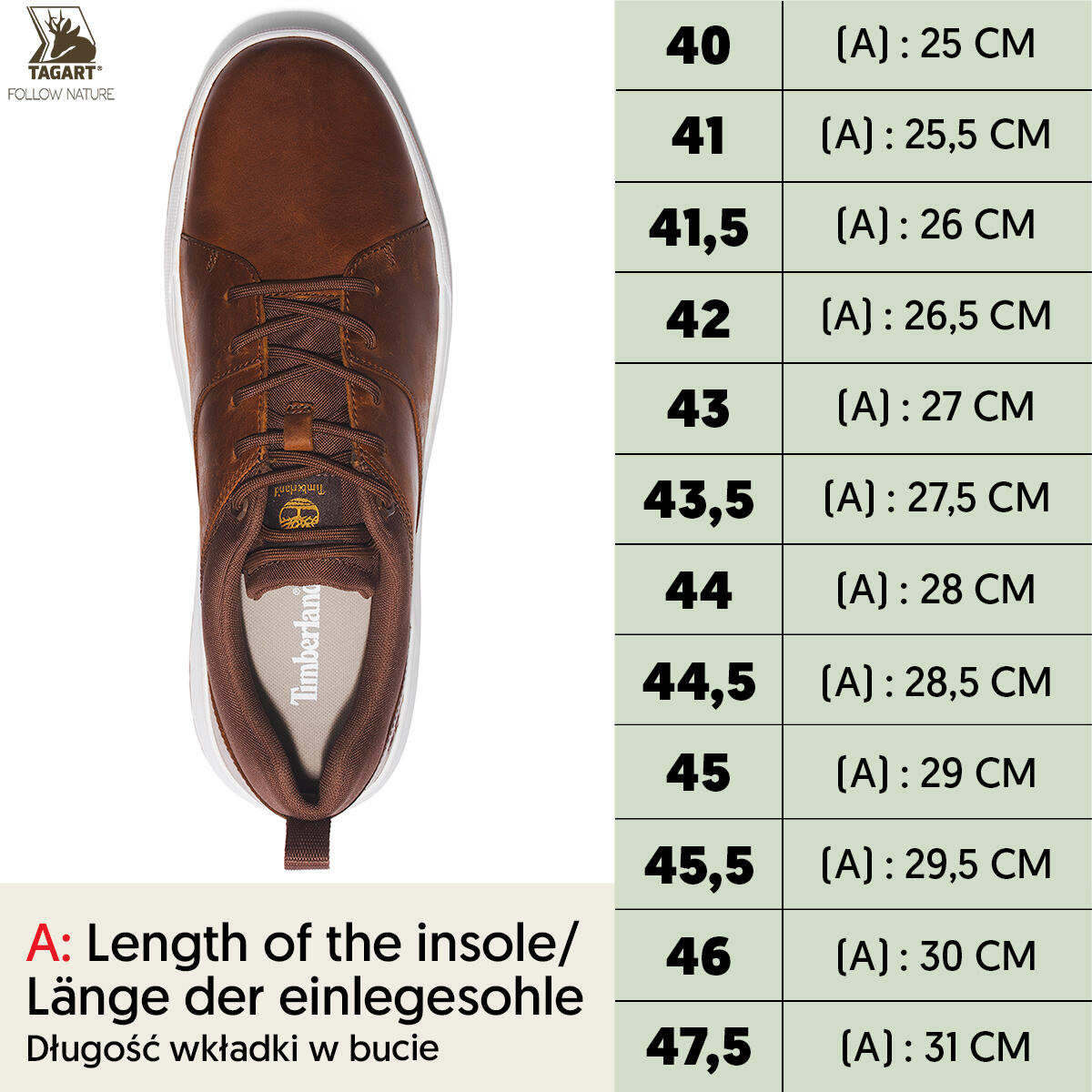 Scarpa Oxford uomo Maple Grove 2/6
