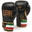 Guanti da boxe Leone Italy 12 oz