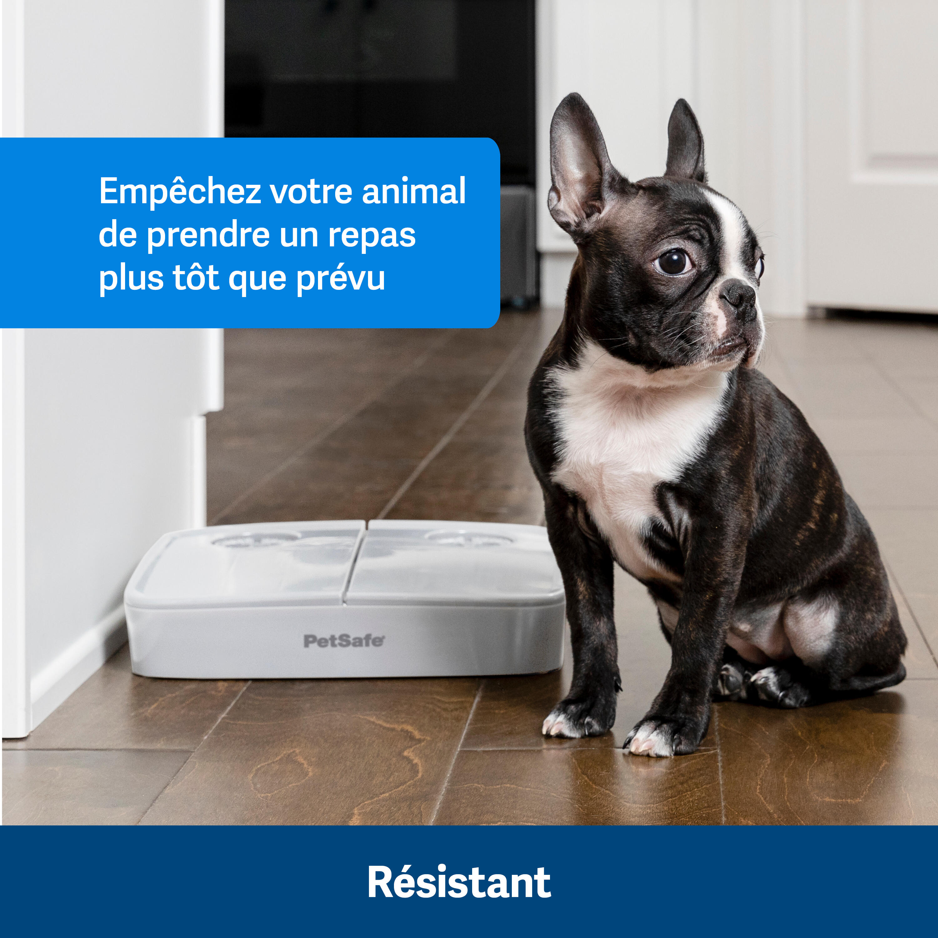 DISTRIBUTEUR AUTO 2 REPAS 5/7
