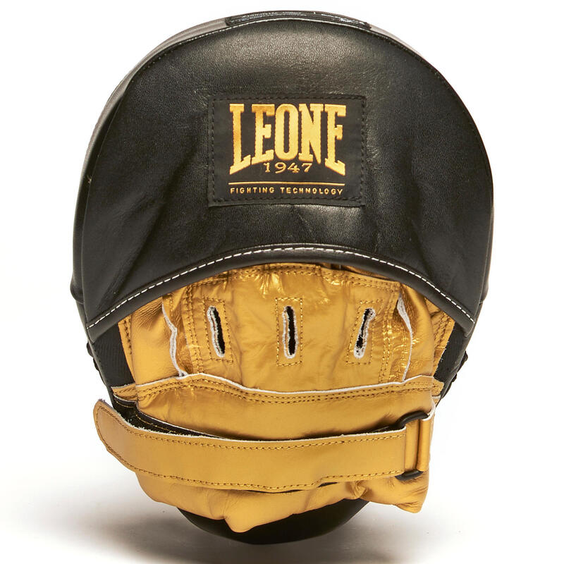 Pattes d'ours boxe Punch mitts