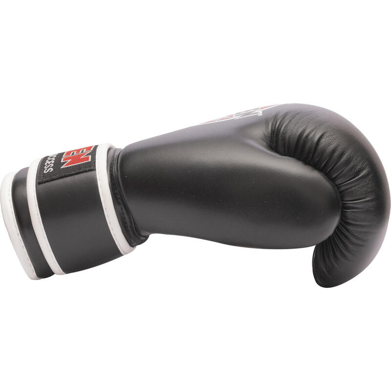 Manusi de box "KIDS 2016" ,Top Ten