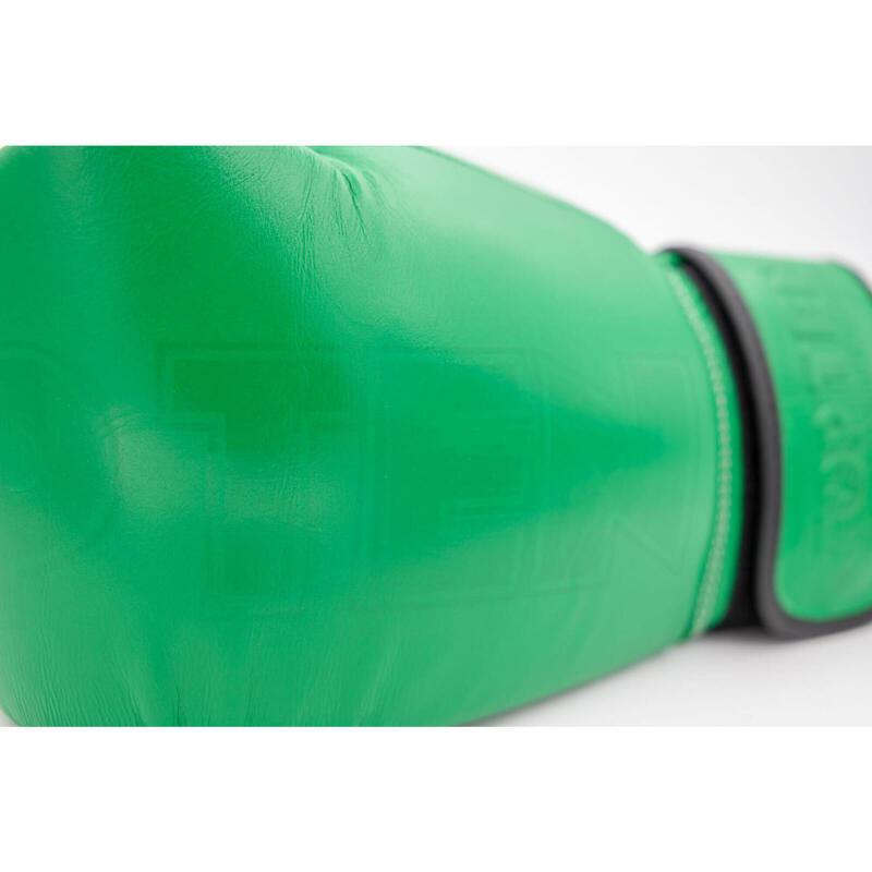 Manusi box "Color`n`Color", Top Ten, Verde, 16oz
