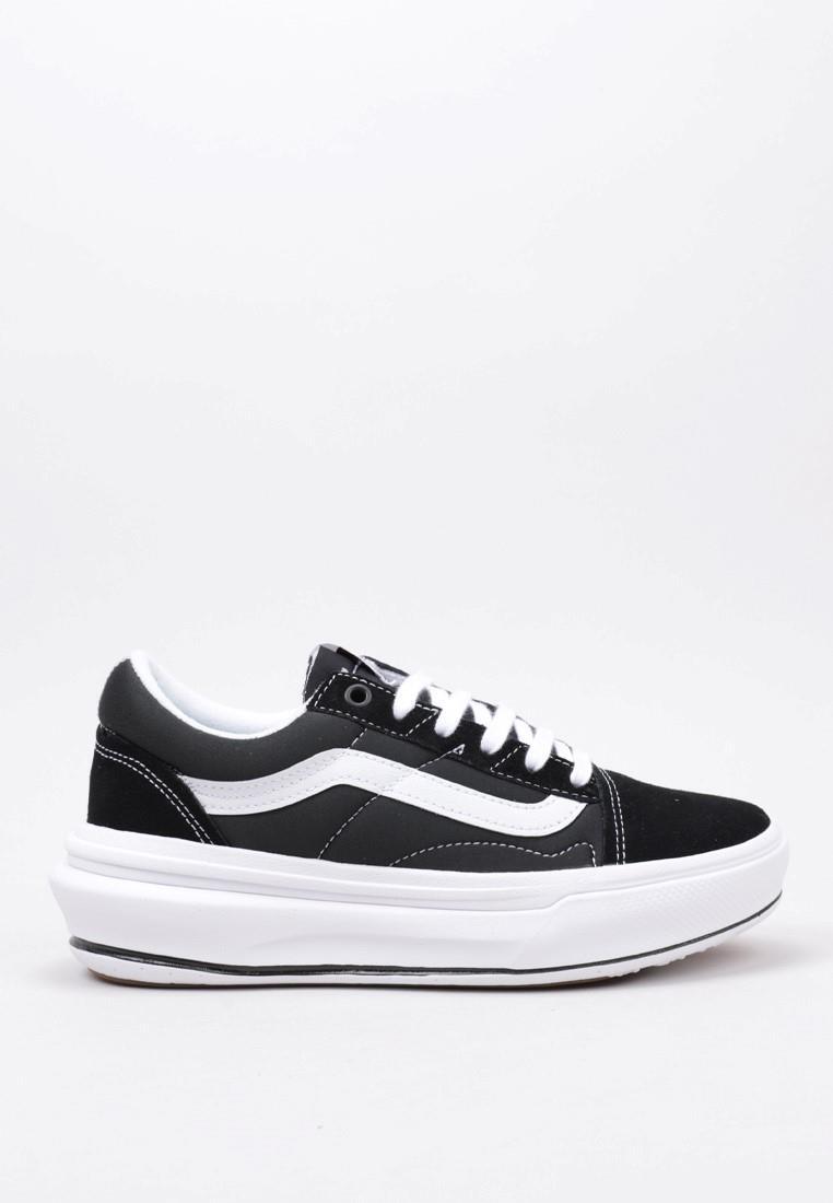 VANS picture