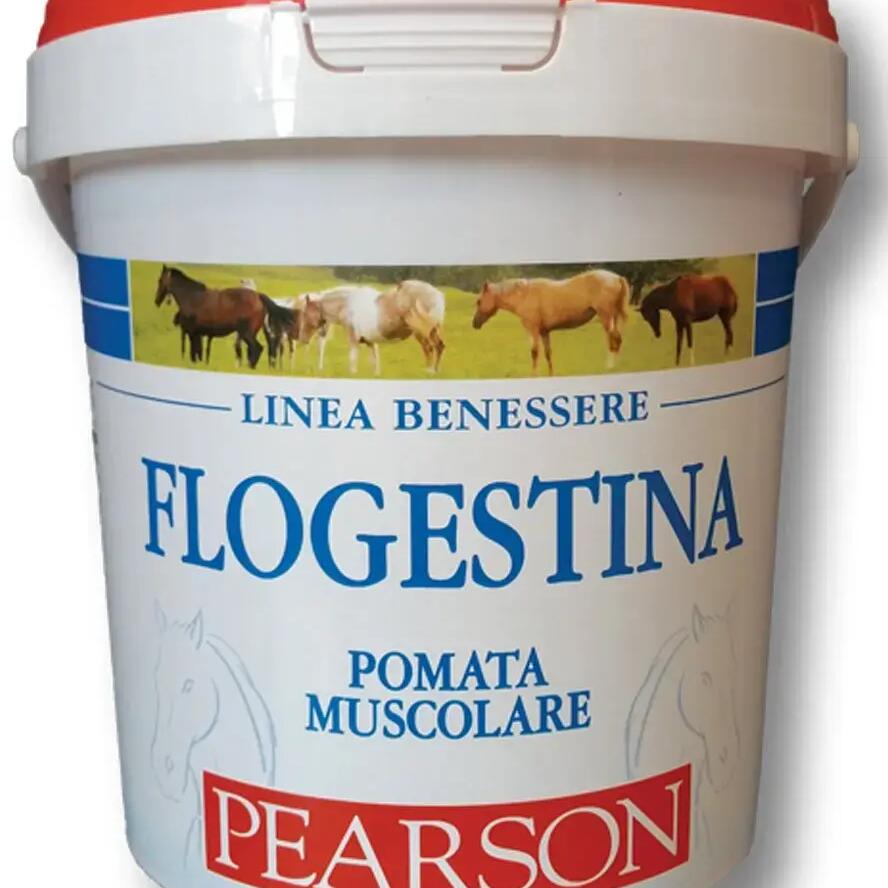 Horse cream Tattini Flogestina
