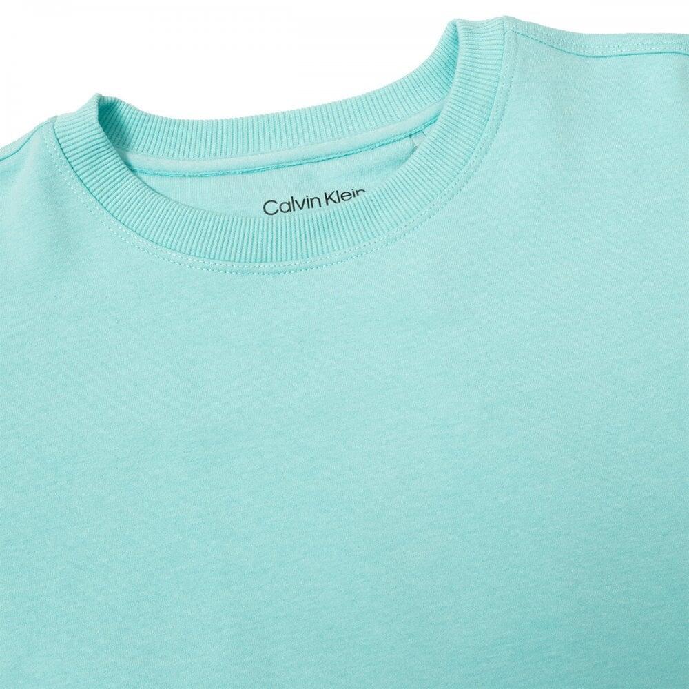 Calvin Klein Ladies CHILL CROPPED CREW SWEATSHIRT OPAL 4/4