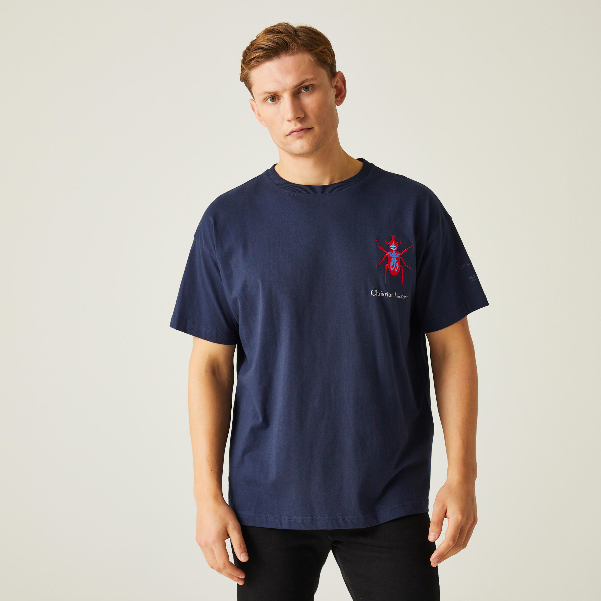 REGATTA CLR - Men's Walking Aramon T-Shirt