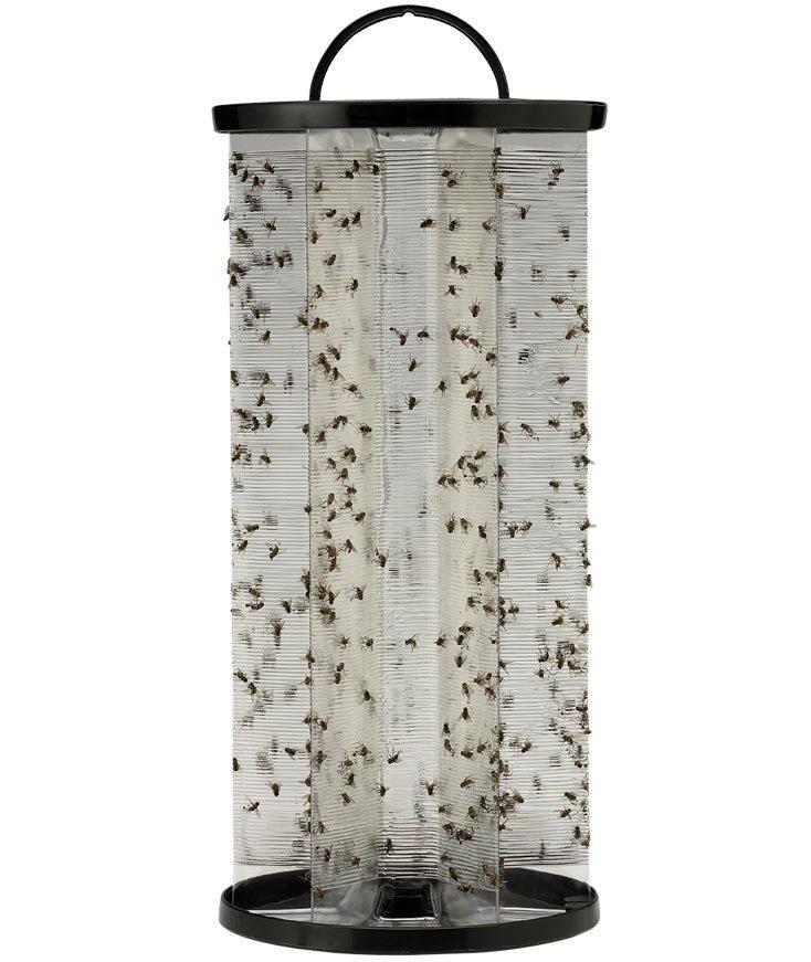 STARBAR BITE FREE STABLE FLY TRAP Trappola adesivizzante per tafani e mosche cavalline