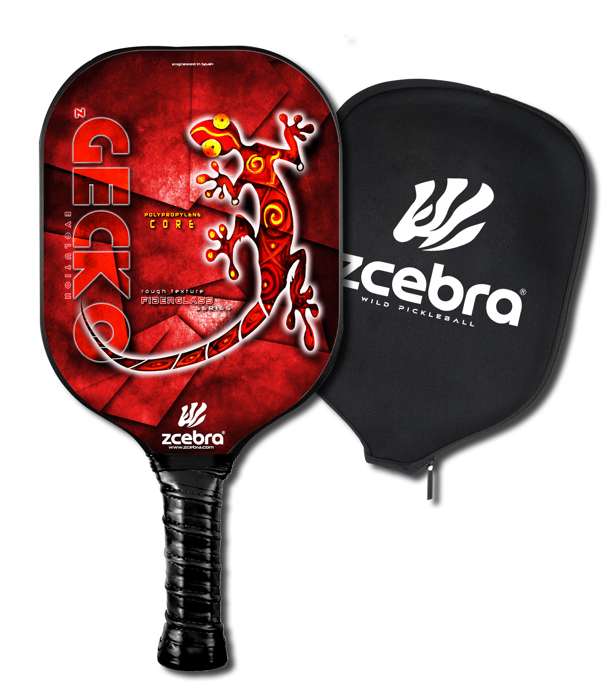 ZCEBRA picture