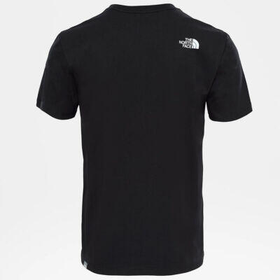 Koszulka turystyczna męska The North Face M NSE Tee 4/4
