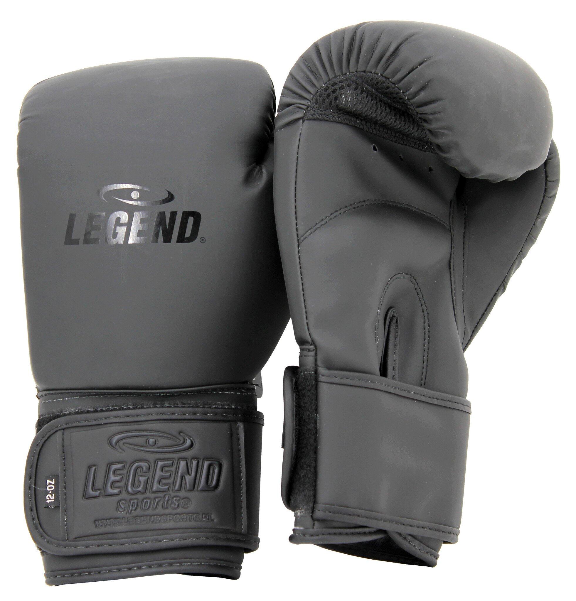Guantoni boxe adulto Powerfit & Protect 5/6