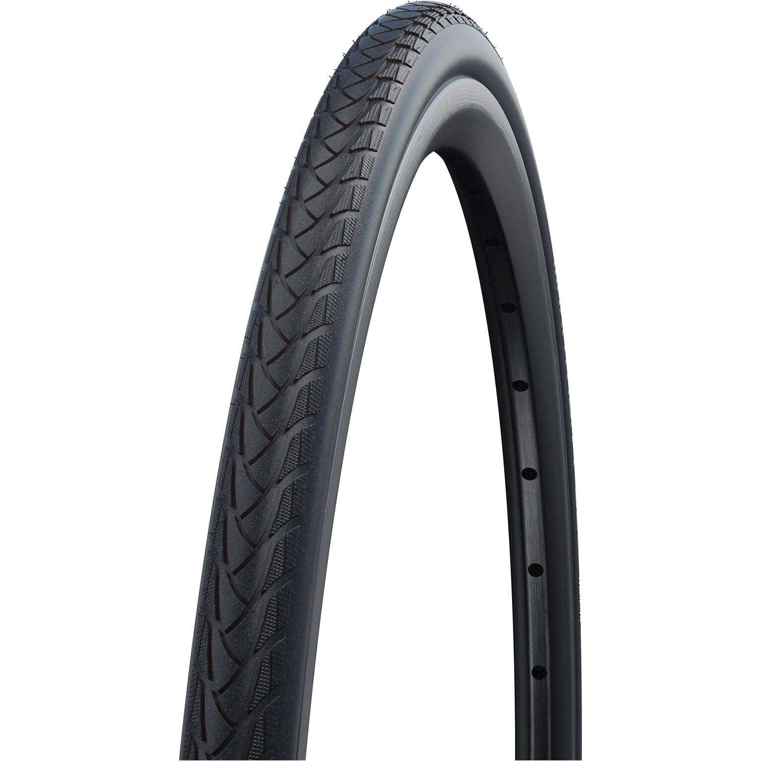 SCHWALBE picture