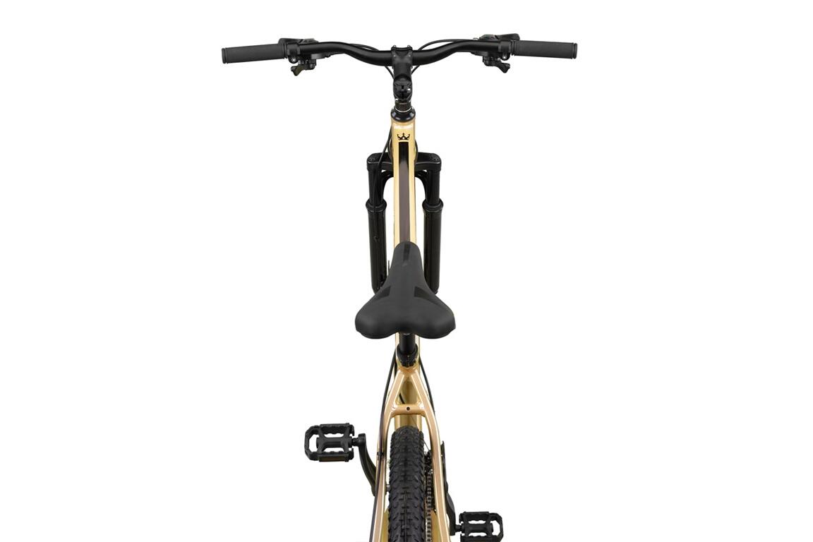Altec King 29 inch 2D MTB Gold 4/4