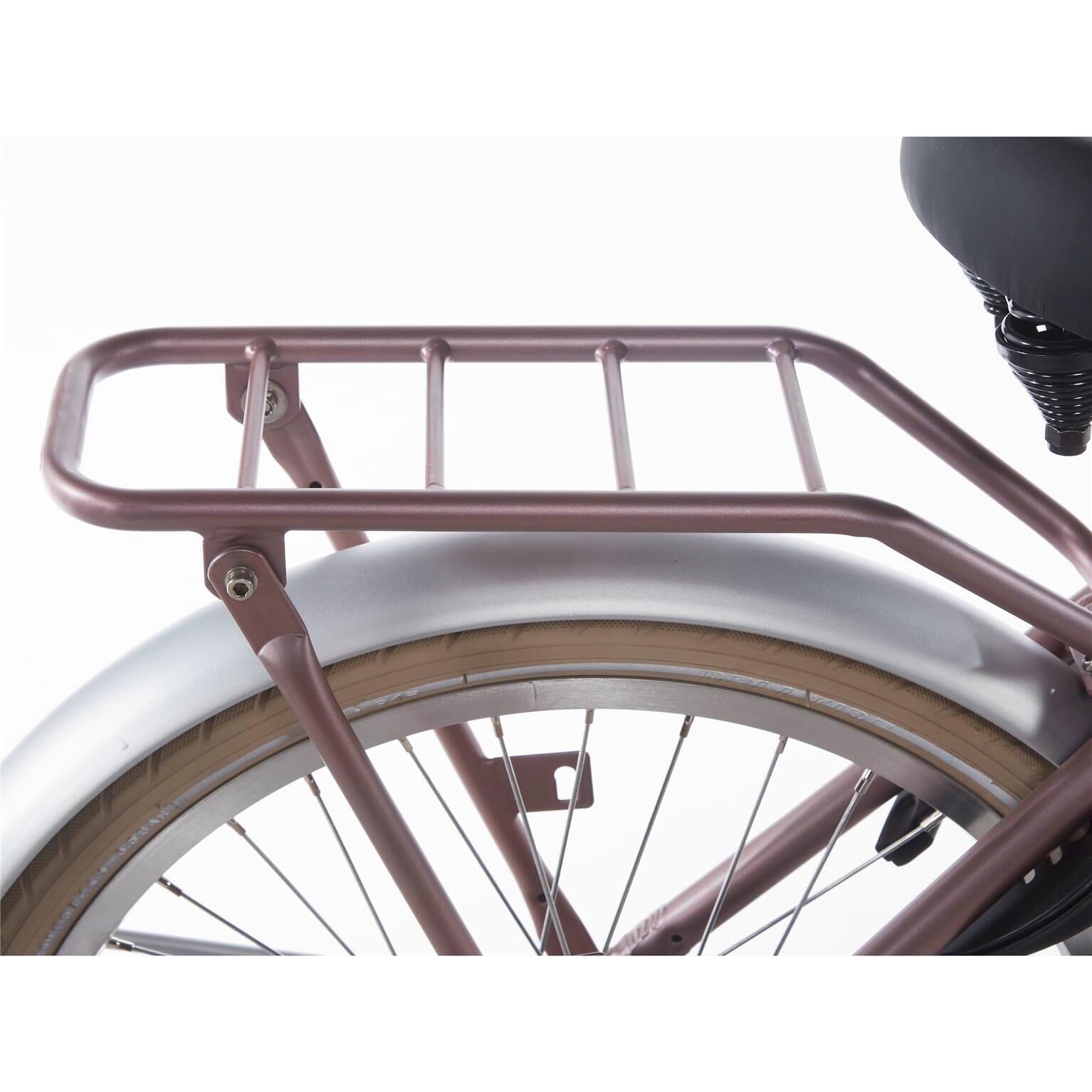 Alpina Cargo M20 Meisjesfiets Wood Rose Mat 20 inch 4/5