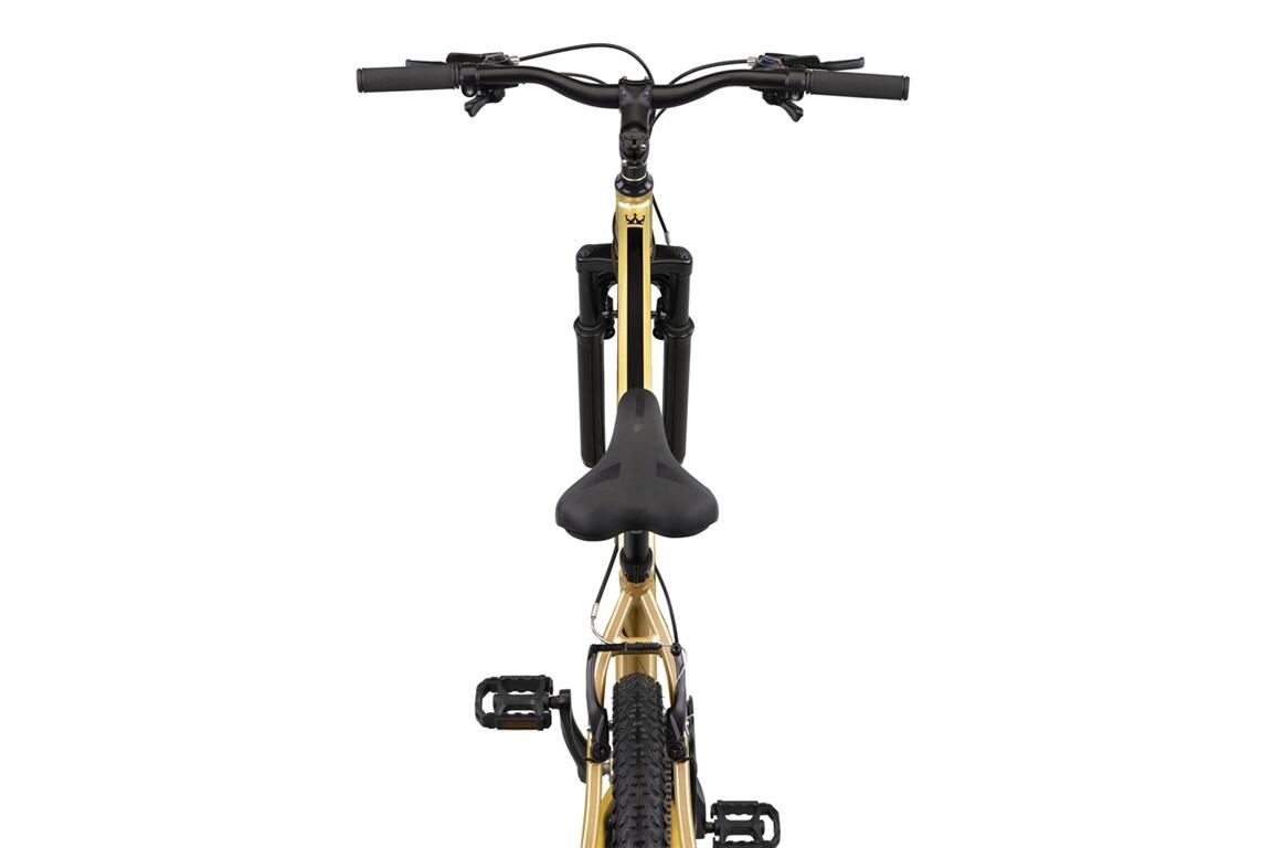 Altec King 29 pouces MTB V-Brakes Gold 4/4
