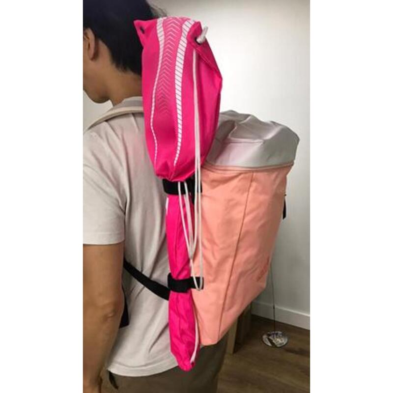 VS3 Backpack (Pink)