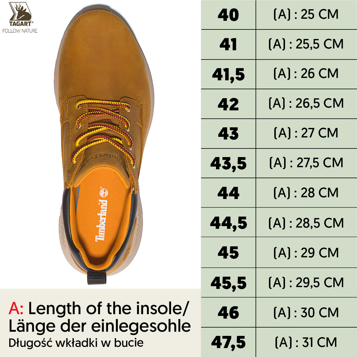 Schoenen Killington Trekker - TB0A2JAC231 Beige 2/5