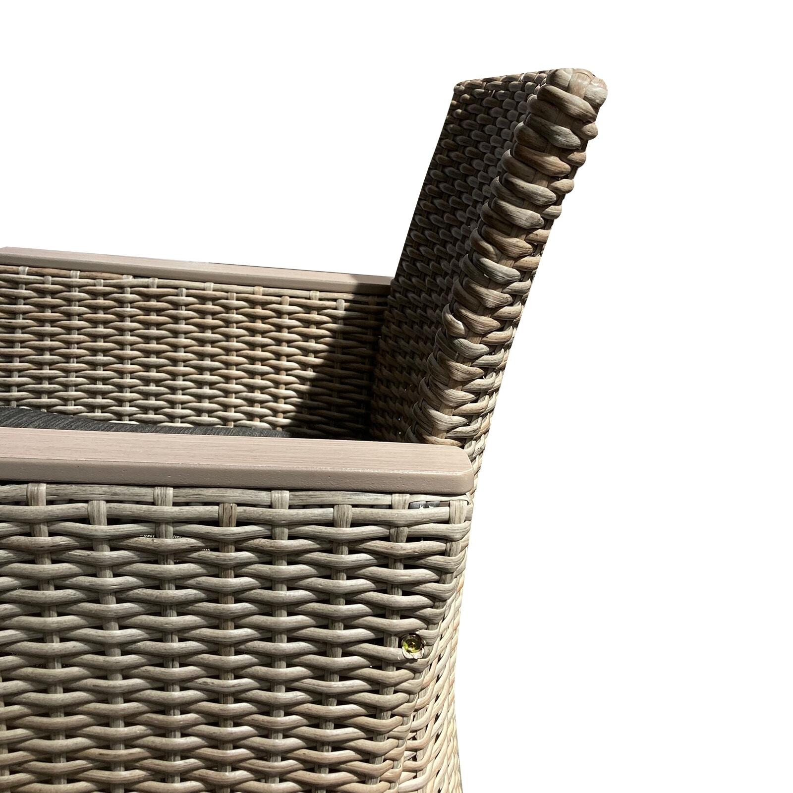 Sillón de Ratán Sintético y Acero Chillvert Turin 65x68,5x93,5 cm con Cojín Antr 3/5