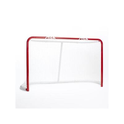 Hockey street goal