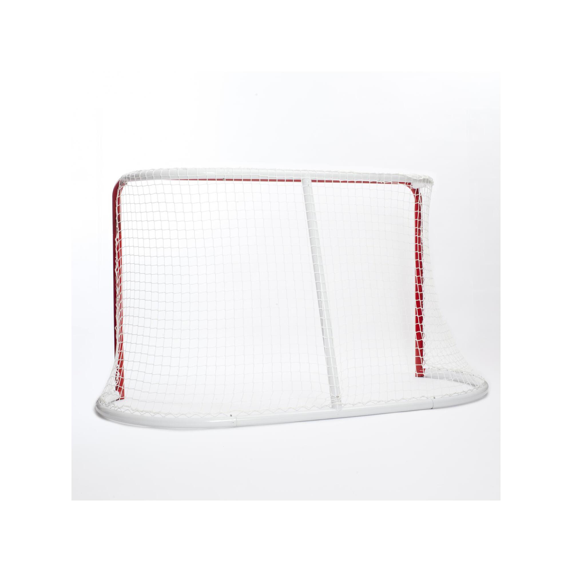 Hockey Street Goal 2/2