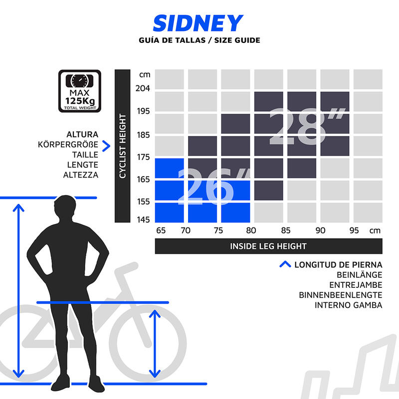 ELEKTRISCHE STADSFIETS SIDNEY, UNISEX E-BIKE IN ZWART 540Wh (36V 15Ah)