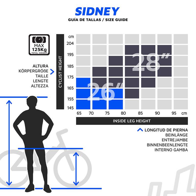 Urbanbiker Sidney - Elektrische Stadsfiets, 540Wh (36V 15Ah), Zwart 26"