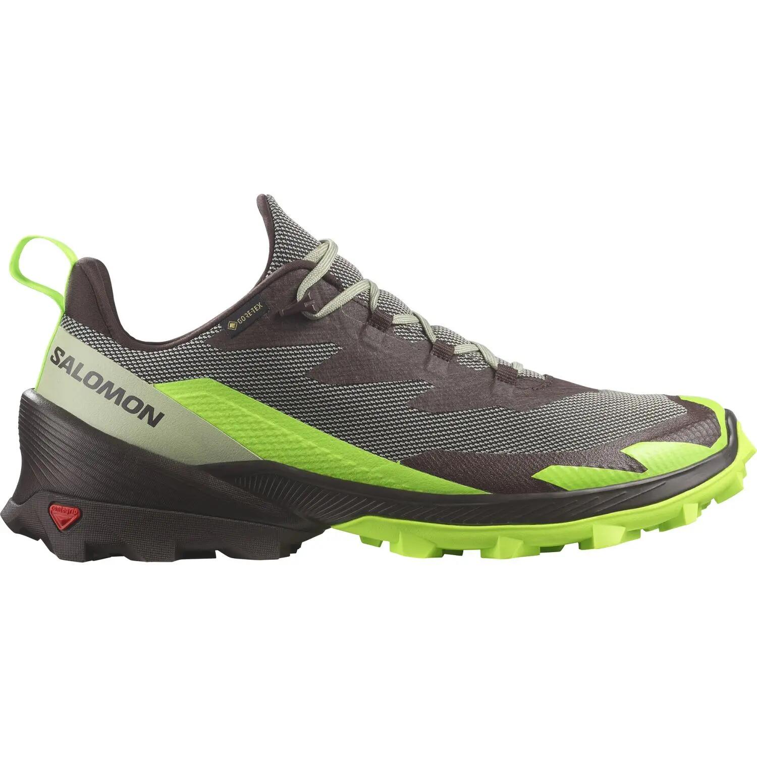 SALOMON picture