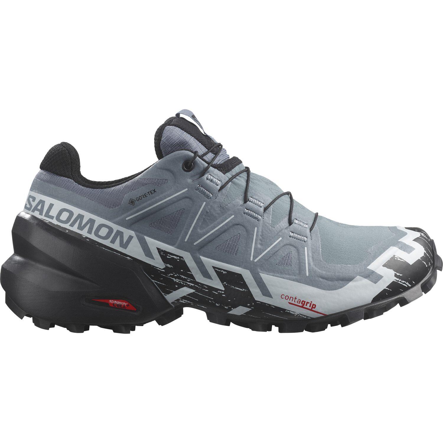 SALOMON picture